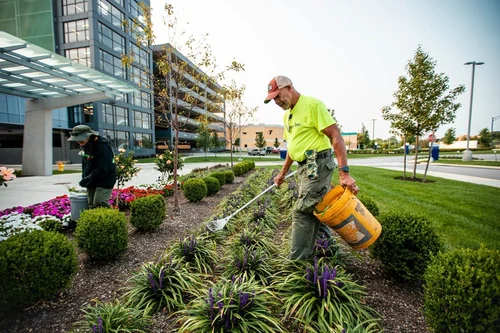 Residential and Commercial Landscape Services Landscape Services